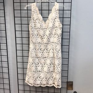Ann Taylor Cream lace dress
